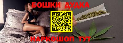 сатива Славгород