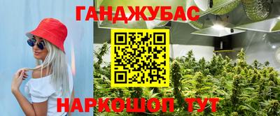 прущие крисы Ставрополь