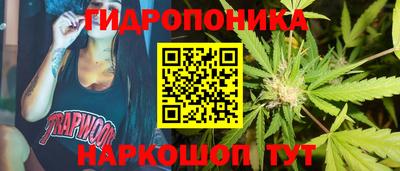 mdma Сланцы